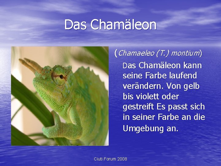 Das Chamäleon (Chamaeleo (T. ) montium) Das Chamäleon kann seine Farbe laufend verändern. Von