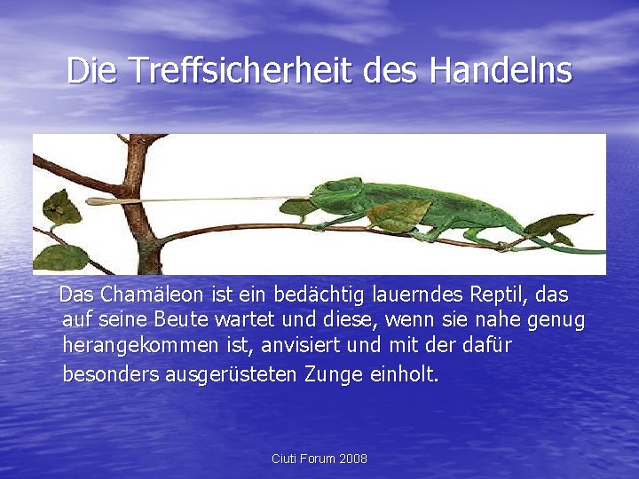 Die Treffsicherheit des Handelns Das Chamäleon ist ein bedächtig lauerndes Reptil, das auf seine