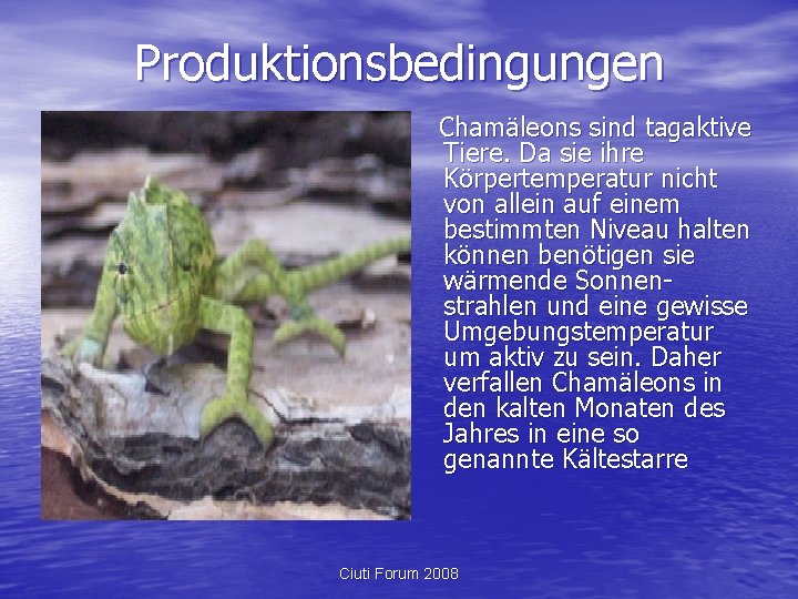 Produktionsbedingungen Chamäleons sind tagaktive Tiere. Da sie ihre Körpertemperatur nicht von allein auf einem