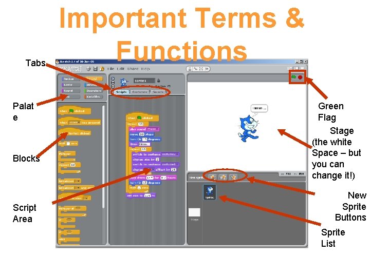 Tabs Palat e Blocks Script Area Important Terms & Functions Green Flag Stage (the