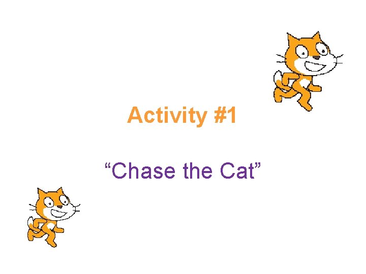 Activity #1 “Chase the Cat” 