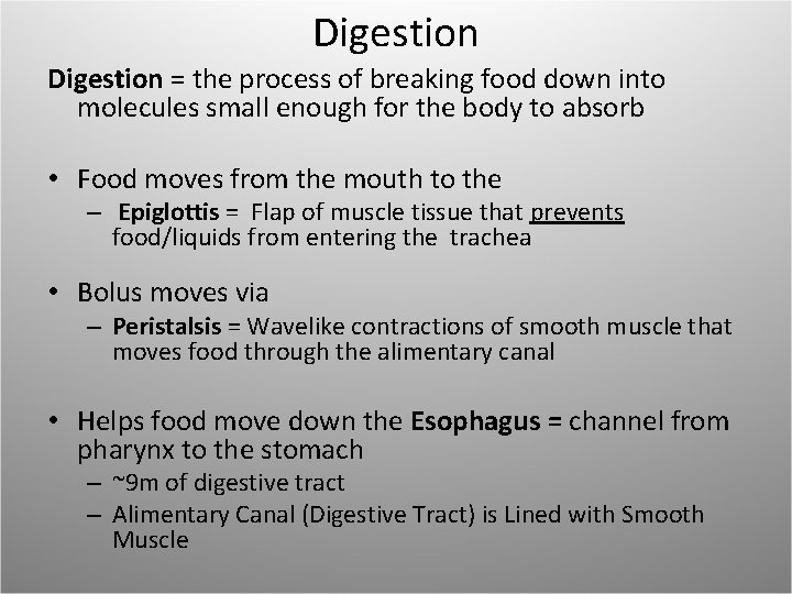 Digestion = the process of breaking food down into molecules small enough for the