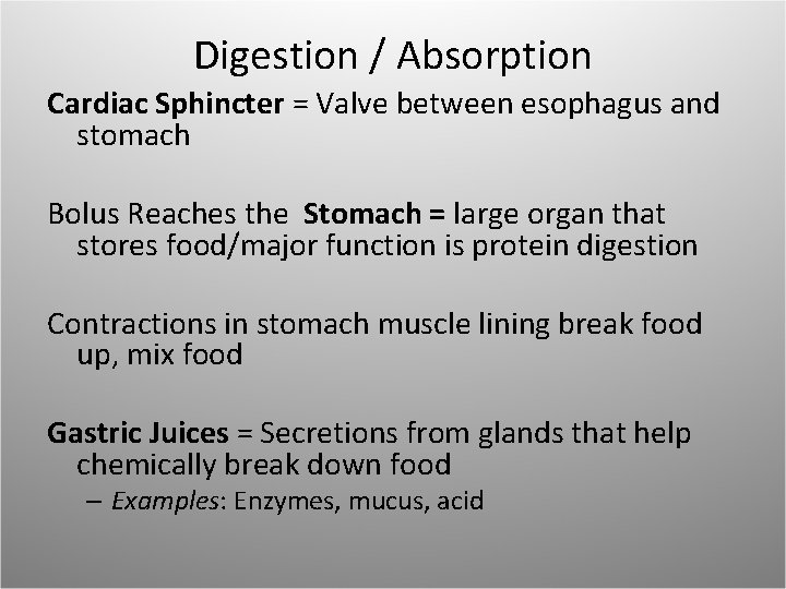 Digestion / Absorption Cardiac Sphincter = Valve between esophagus and stomach Bolus Reaches the