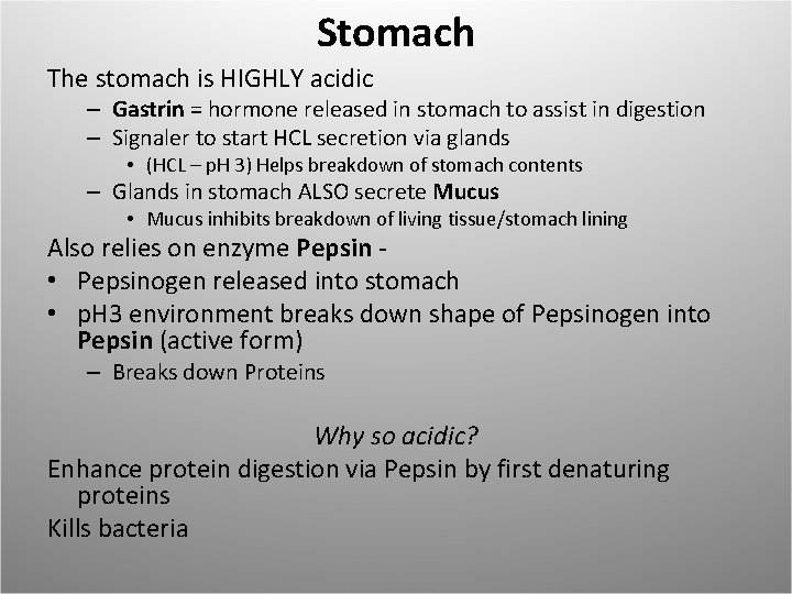 Stomach The stomach is HIGHLY acidic – Gastrin = hormone released in stomach to