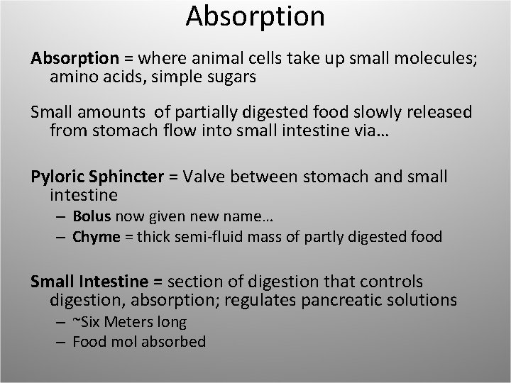 Absorption = where animal cells take up small molecules; amino acids, simple sugars Small