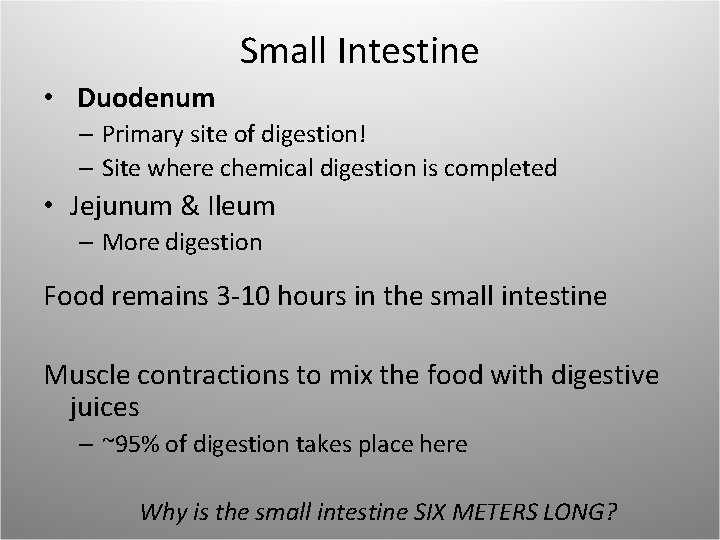 Small Intestine • Duodenum – Primary site of digestion! – Site where chemical digestion