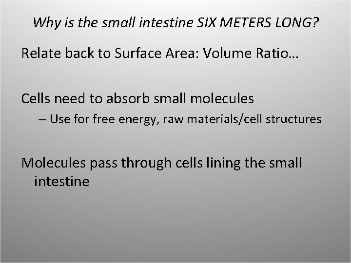Why is the small intestine SIX METERS LONG? Relate back to Surface Area: Volume