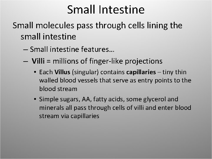 Small Intestine Small molecules pass through cells lining the small intestine – Small intestine