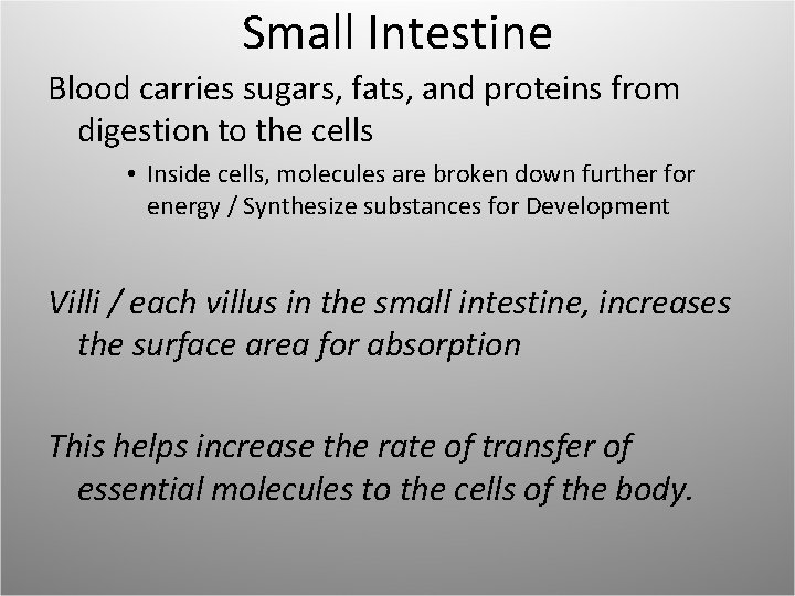 Small Intestine Blood carries sugars, fats, and proteins from digestion to the cells •