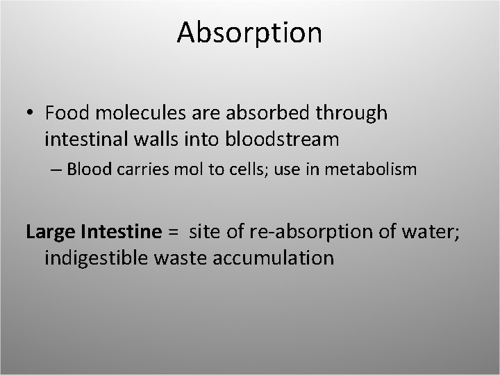 Absorption • Food molecules are absorbed through intestinal walls into bloodstream – Blood carries