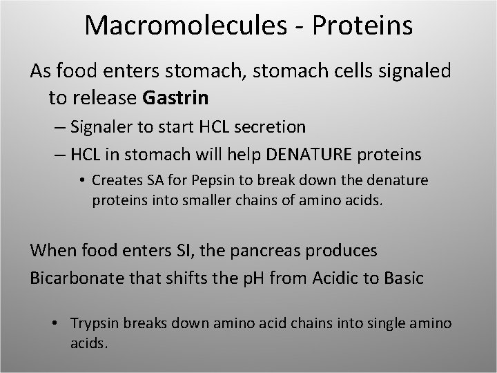 Macromolecules - Proteins As food enters stomach, stomach cells signaled to release Gastrin –