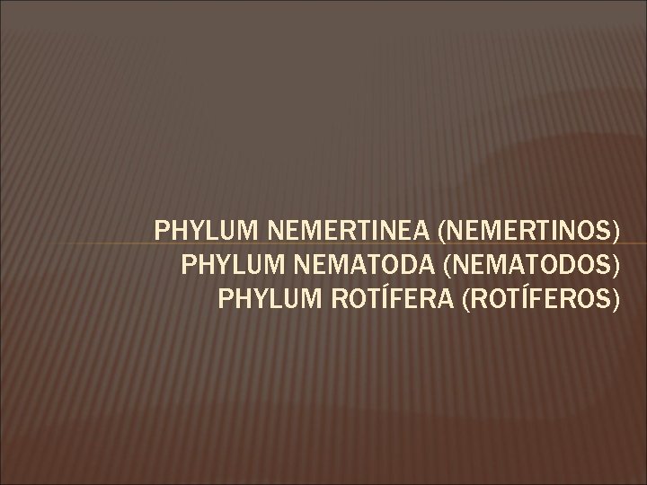 PHYLUM NEMERTINEA (NEMERTINOS) PHYLUM NEMATODA (NEMATODOS) PHYLUM ROTÍFERA (ROTÍFEROS) 