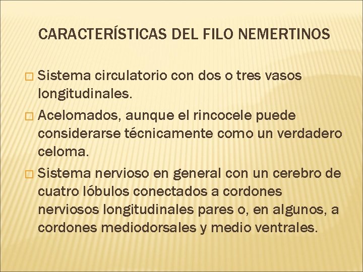 CARACTERÍSTICAS DEL FILO NEMERTINOS � Sistema circulatorio con dos o tres vasos longitudinales. �