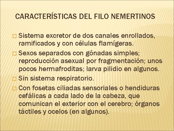 CARACTERÍSTICAS DEL FILO NEMERTINOS � Sistema excretor de dos canales enrollados, ramificados y con