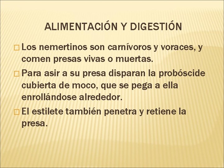 ALIMENTACIÓN Y DIGESTIÓN � Los nemertinos son carnívoros y voraces, y comen presas vivas