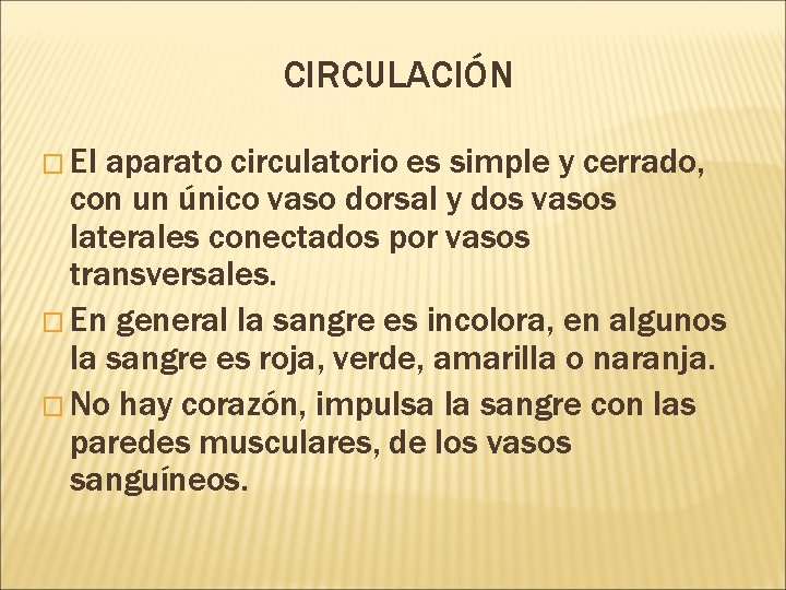 CIRCULACIÓN � El aparato circulatorio es simple y cerrado, con un único vaso dorsal