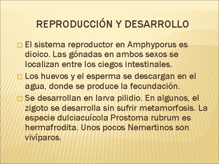REPRODUCCIÓN Y DESARROLLO � El sistema reproductor en Amphyporus es dioico. Las gónadas en