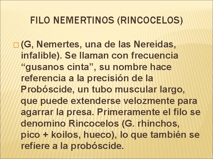 FILO NEMERTINOS (RINCOCELOS) � (G, Nemertes, una de las Nereidas, infalible). Se llaman con