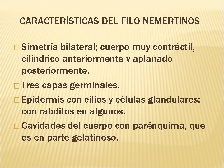 CARACTERÍSTICAS DEL FILO NEMERTINOS � Simetría bilateral; cuerpo muy contráctil, cilíndrico anteriormente y aplanado