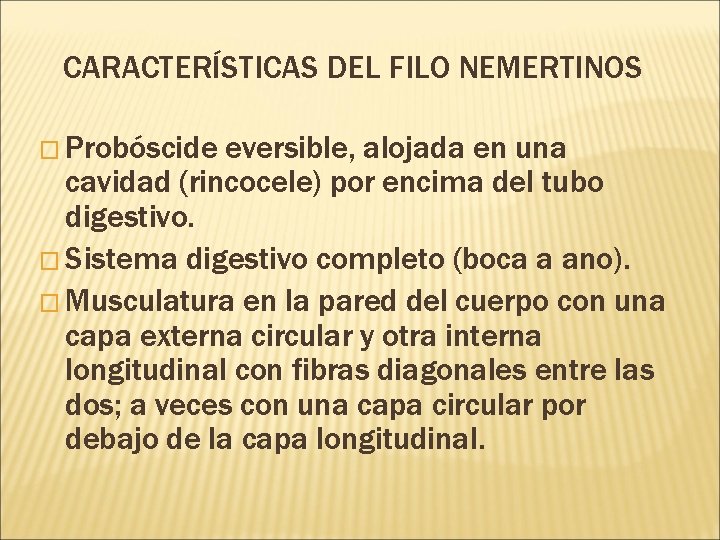 CARACTERÍSTICAS DEL FILO NEMERTINOS � Probóscide eversible, alojada en una cavidad (rincocele) por encima