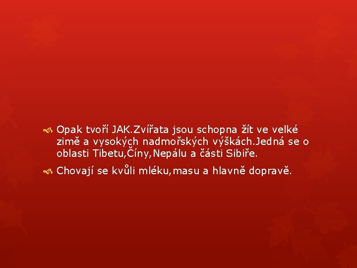  Opak tvoří JAK. Zvířata jsou schopna žít ve velké zimě a vysokých nadmořských