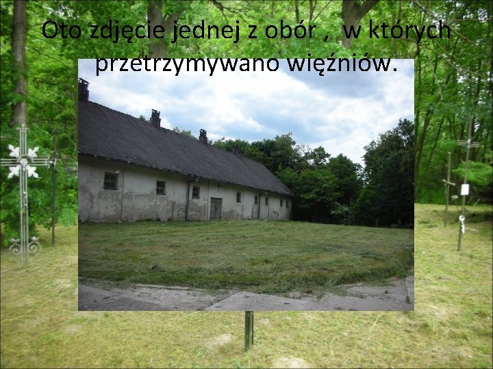 Oto zdjęcie jednej z obór , w których przetrzymywano więźniów. 