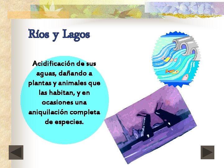 Ríos y Lagos Acidificación de sus aguas, dañando a plantas y animales que las
