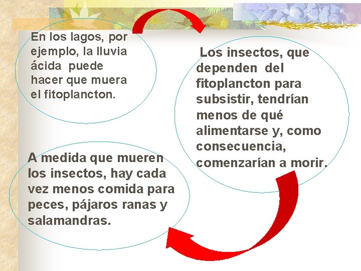 En los lagos, por ejemplo, la lluvia ácida puede hacer que muera el fitoplancton.