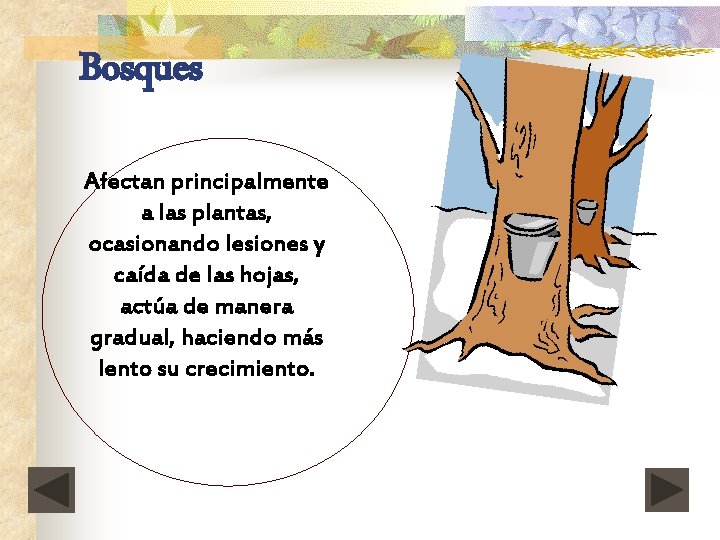 Bosques Afectan principalmente a las plantas, ocasionando lesiones y caída de las hojas, actúa