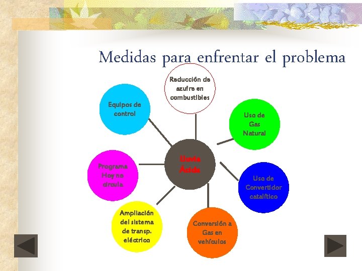 Medidas para enfrentar el problema Equipos de control Programa Hoy no circula Ampliación del