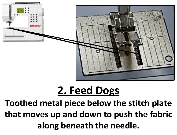 2. Feed Dogs Toothed metal piece below the stitch plate that moves up and