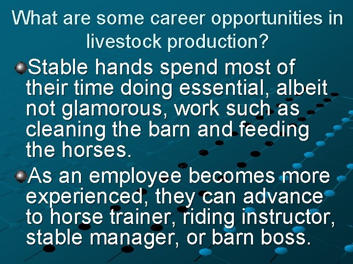 What are some career opportunities in livestock production? Stable hands spend most of their