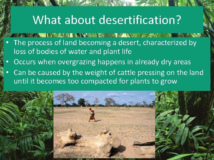 What about desertification? • The process of land becoming a desert, characterized by loss