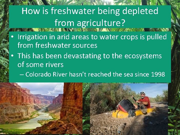 How is freshwater being depleted from agriculture? • Irrigation in arid areas to water