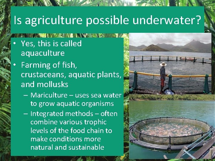 Is agriculture possible underwater? • Yes, this is called aquaculture • Farming of fish,