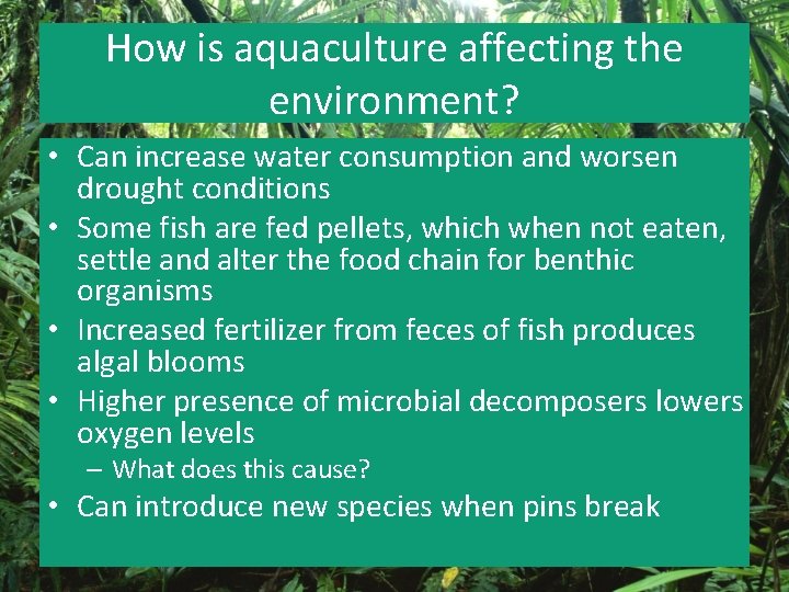 How is aquaculture affecting the environment? • Can increase water consumption and worsen drought