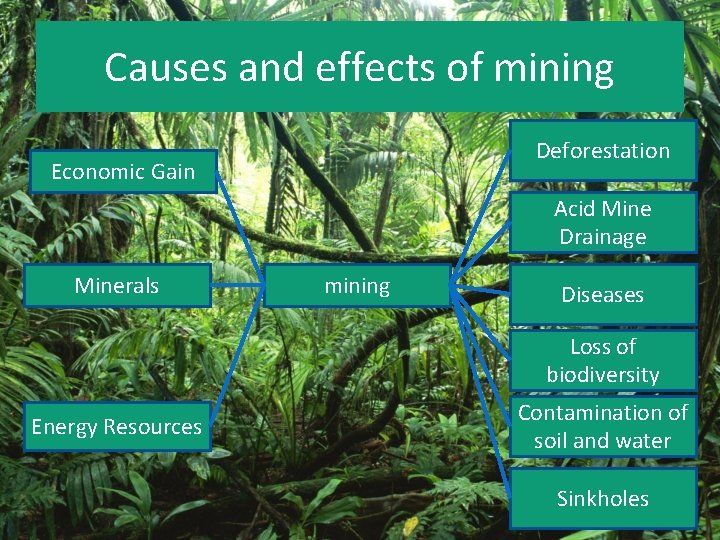 Causes and effects of mining Deforestation Economic Gain Acid Mine Drainage Minerals mining Diseases