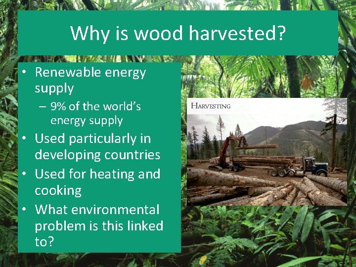 Why is wood harvested? • Renewable energy supply – 9% of the world’s energy