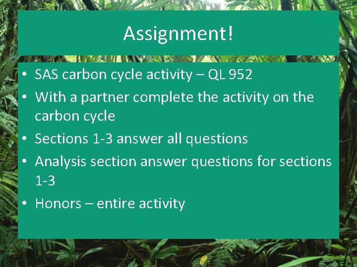 Assignment! • SAS carbon cycle activity – QL 952 • With a partner complete