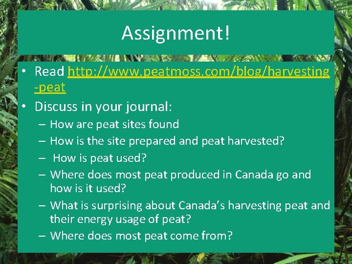 Assignment! • Read http: //www. peatmoss. com/blog/harvesting -peat • Discuss in your journal: –