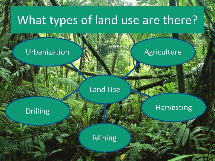 What types of land use are there? Urbanization Agriculture Land Use Harvesting Drilling Mining