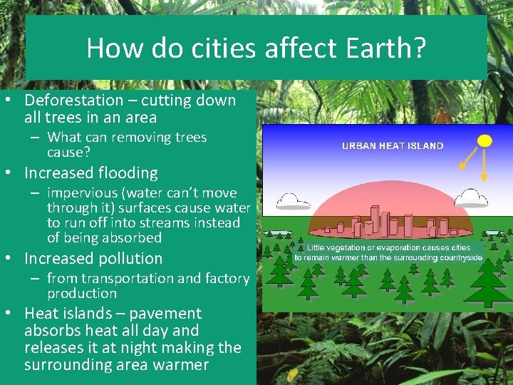 How do cities affect Earth? • Deforestation – cutting down all trees in an