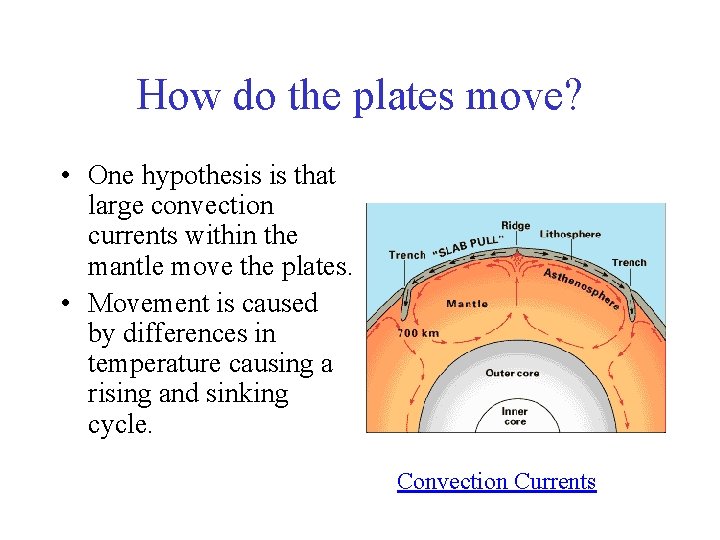 How do the plates move? • One hypothesis is that large convection currents within