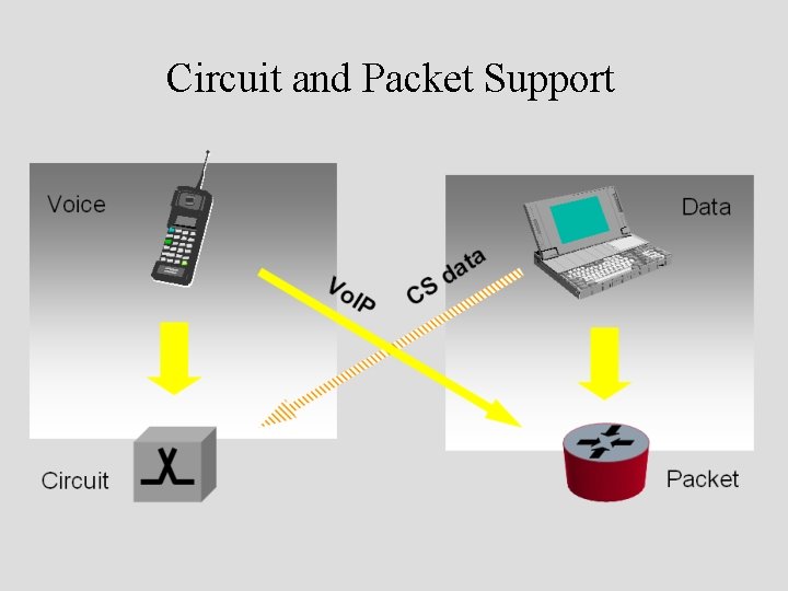 Circuit and Packet Support 