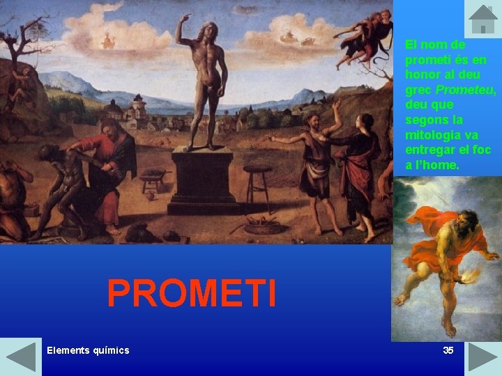 El nom de prometi és en honor al deu grec Prometeu, deu que segons