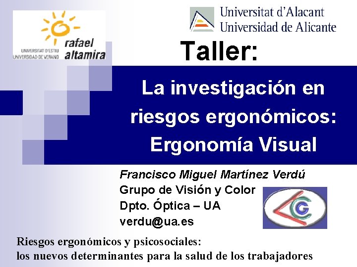 Taller: La investigación en riesgos ergonómicos: Ergonomía Visual Francisco Miguel Martínez Verdú Grupo de