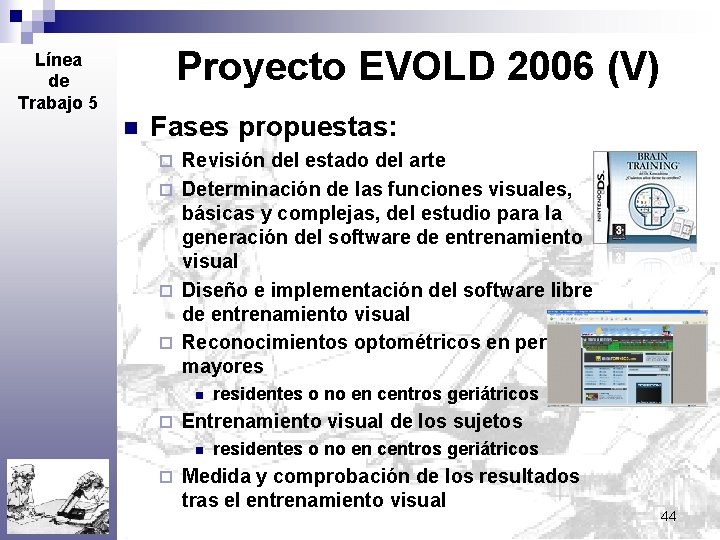Proyecto EVOLD 2006 (V) Línea de Trabajo 5 n Fases propuestas: Revisión del estado