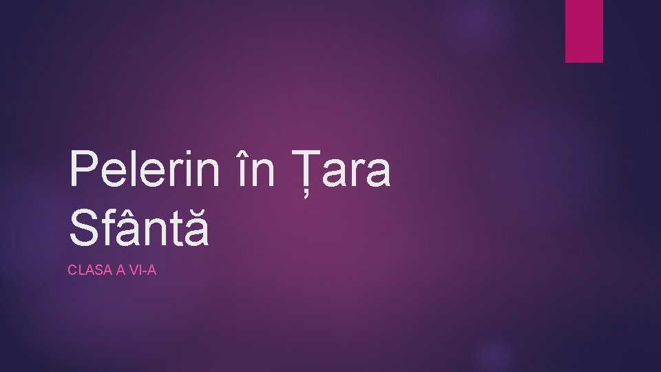 Pelerin în Țara Sfântă CLASA A VI-A Pelerin în Țara Sfântă CLASA A VI-A