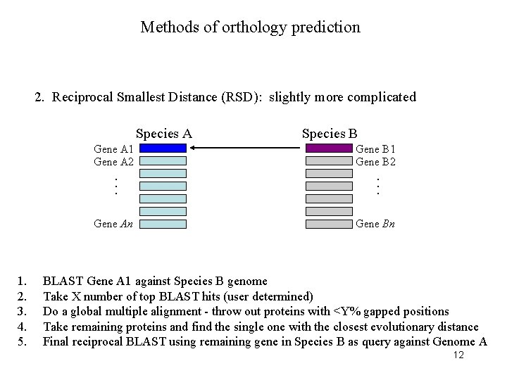 Methods of orthology prediction 2. Reciprocal Smallest Distance (RSD): slightly more complicated Species A