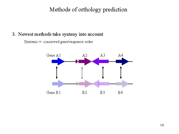 Methods of orthology prediction 3. Newest methods take synteny into account Syntenic = conserved